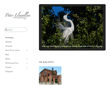 Tablet Screenshot of peterllewellyn.com